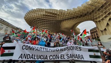 Photo of حركة التضامن بالأندلس تتظاهر بإشبيلة وتطالب الحكومة الإسبانية بتحمل مسؤولياتها التاريخية تجاه الشعب الصحراوي وقضيته العادلة