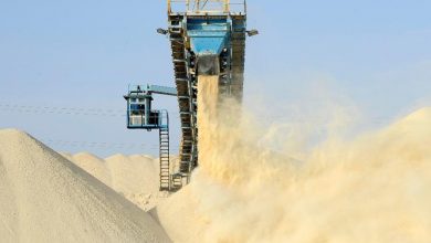 Photo of تورط نيوزيلندا في استيراد الفوسفات المنهوب من الصحراء الغربية يساهم في إطالة الاحتلال