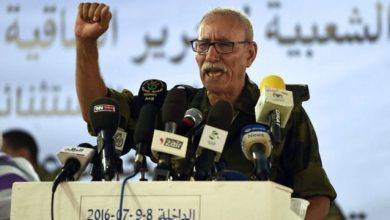 Photo of رئيس الجمهورية يؤكد بأن موقف رىيس الحكومة الاسبانية إنتهاك صارخ للشرعية الدولية