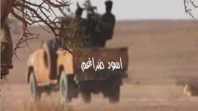 Photo of حذار من ان نقع في شراك الأعداء