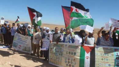 Photo of الدعوة إلى تشكيل لجنة دولية لتقصي الحقائق بشأن الجزء المحتل من الصحراء الغربية